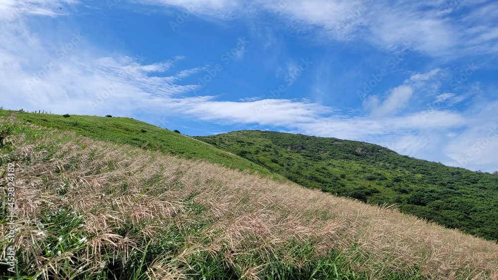 Reeds and sky at Sinbulsan Mountain in Ulju-gu, Korea