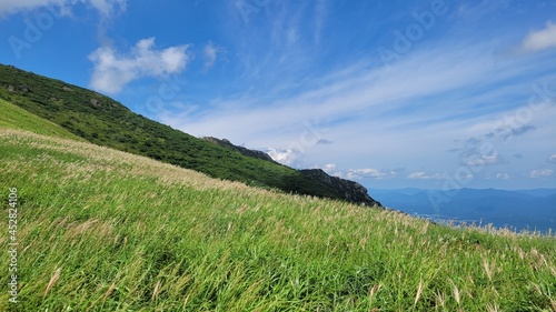 Reeds and sky at Sinbulsan Mountain in Ulju-gu, Korea