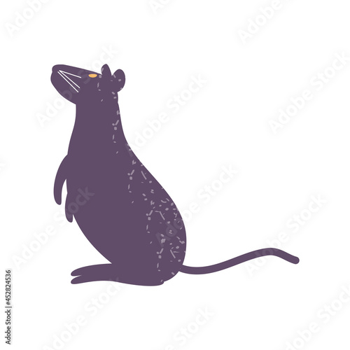 black rat animal