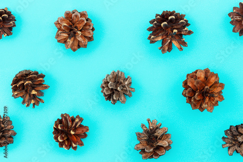 A pattern of dry cones on blue background close-up.