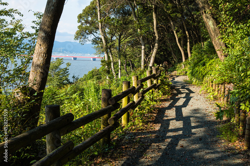 日本 静岡県浜松市の舘山寺の丘の歩道