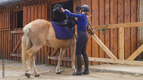 Fototapeta Naklejka Na Ścianę i Meble -  a young jockey girl puts a saddle on a calm horse near the barn. High-quality photo