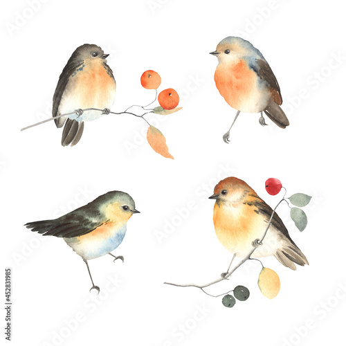 Set of abstract cute birds, watercolor colorful collection isolated on white background, decoration birds for your design.