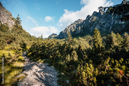 Hiking the Great Cold Valley/ velka studena dolina/ to Zbojnicka cottage and teryho cottage through priecne saddle. High Tatras National park , Slovakia. photo