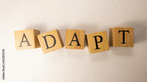 The word ADAPT was created from wooden cubes.