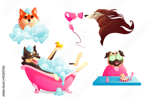 Grooming and spa salon for pets. Dogs washing in bathtub with soap foam, drying fur and manicure. Vector cartoon set of happy canine receive body care in salon or vet clinic
