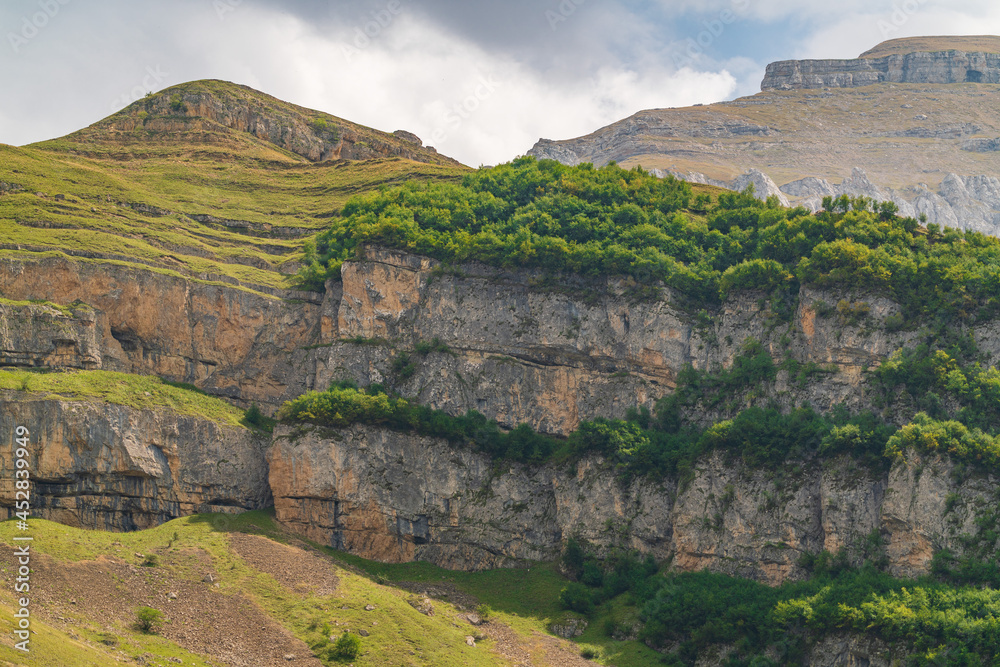 Obraz premium High mountains with green grass and forest