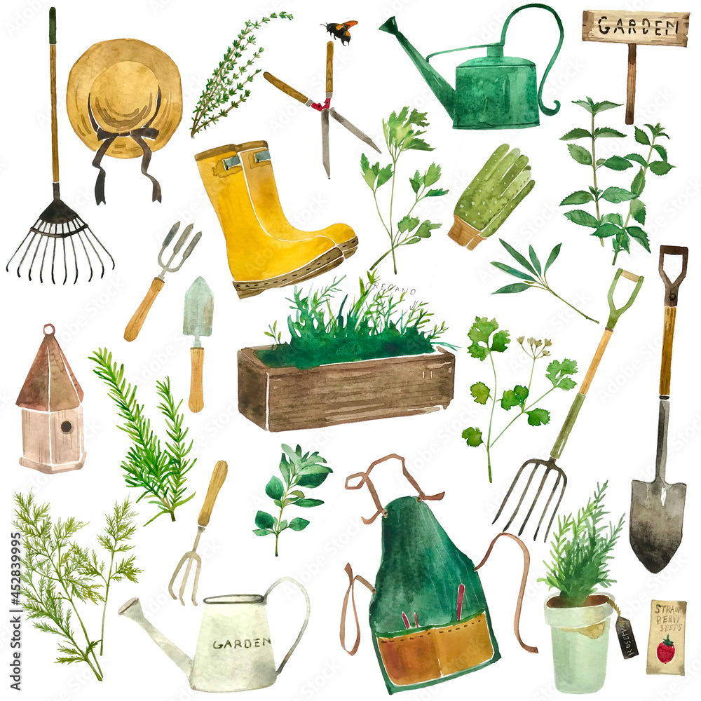 いろいろなハーブと植物とおしゃれなガーデニンググッツセットイラスト素材 Stock Illustration Adobe Stock