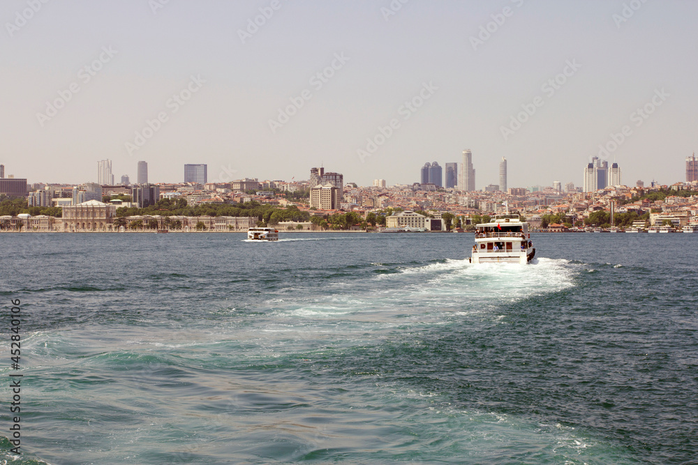 The city of Istanbul with the Bosporus in the foreground
