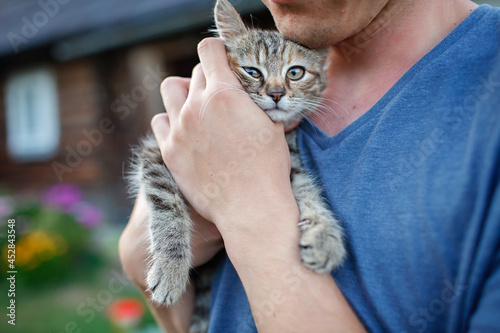 Canvas Print Young guy found and picked up little stripped kitten during walking in the field