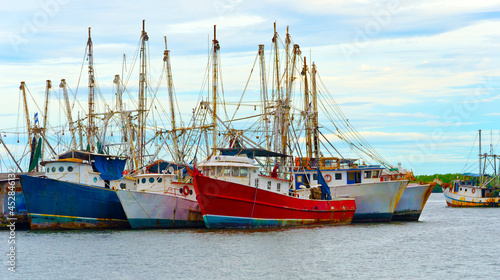 Fishing boats at port