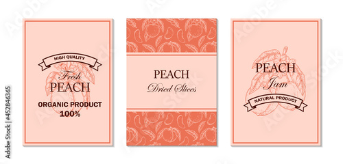 Set of and drawn peach designs. Vector illustration in sketch style