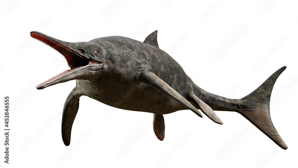 Fototapeta premium Ichthyosaur, extinct marine reptile from Early Triassic to Late Cretaceous, isolated on white background