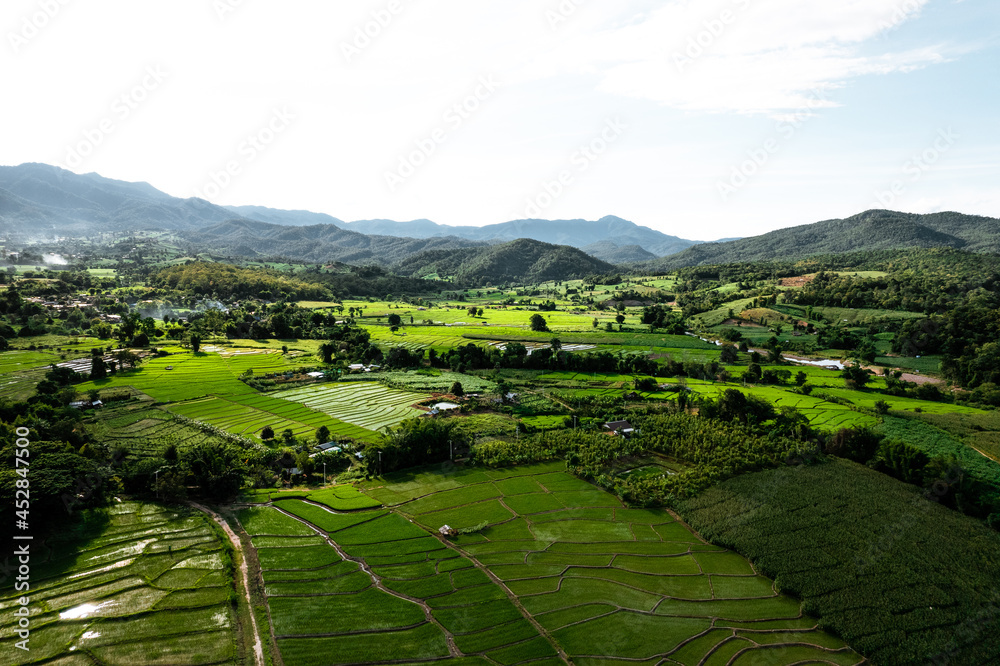 Obraz premium Rice field ,Aerial view of rice fields