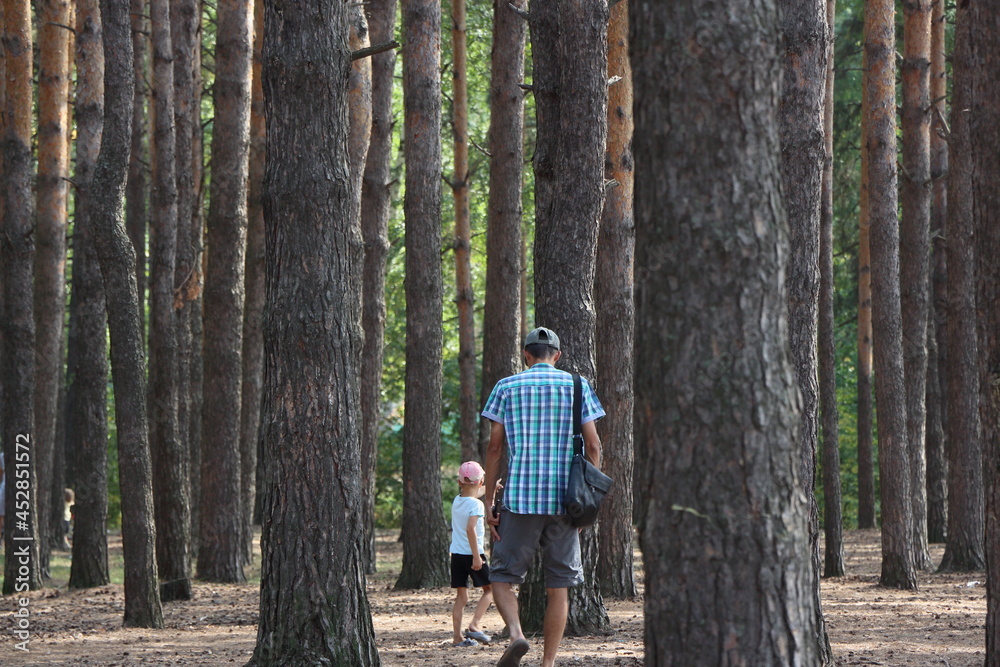 Obraz premium walking in the woods