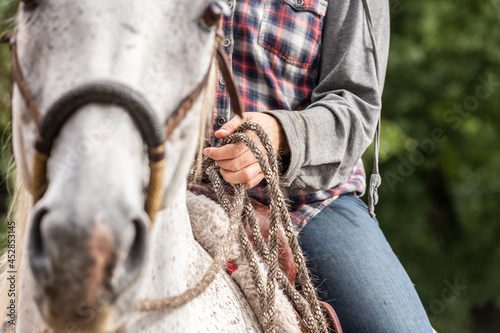 Close-up of a person´s hand holding reins photo