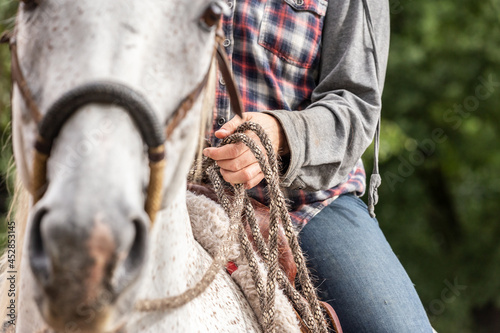 Close-up of a person´s hand holding reins