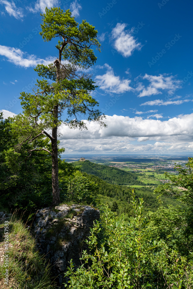 Fototapeta premium Blick vom Backofenfelsen zur Burg Hohenzollern