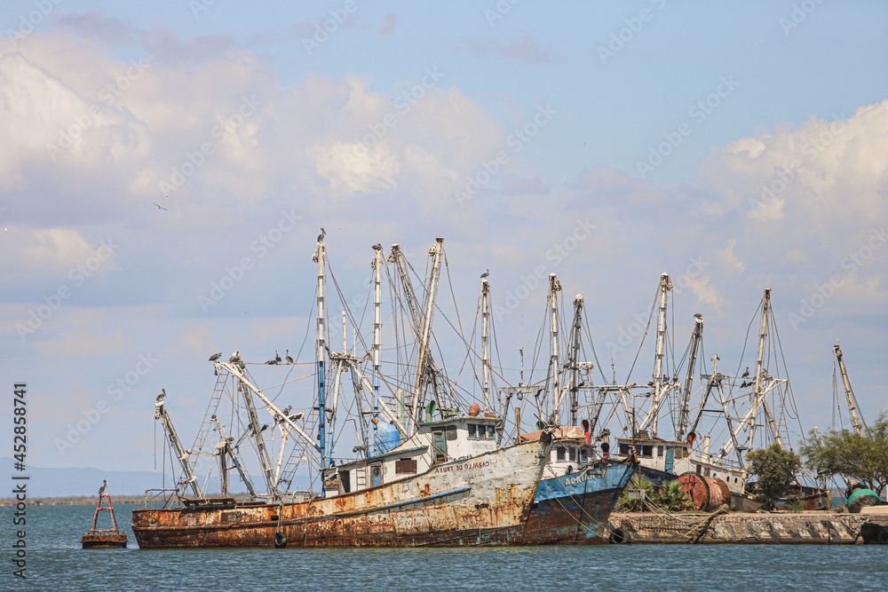 marine birds front on the mast ship Yavaros. Yavaros-Moroncarit are located in the municipality of Huatabampo Sonora Mexico.