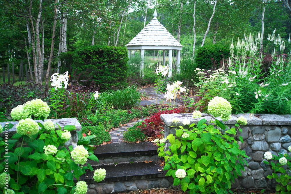 Obraz premium えこりん村の銀河庭園