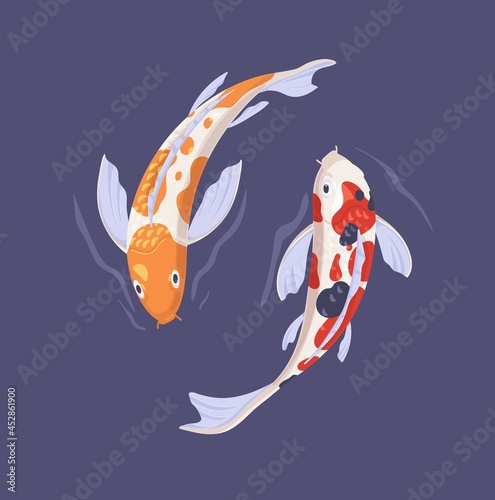 Couple of koi fishes swimming alongside in Asian pond. Two oriental Japanese decorative carps in water top view. Harmony, balance, duality and zen concept. Flat vector illustration