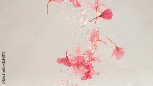 creative Beautiful yellow pink hibiscus flowers petals floating in the water photo