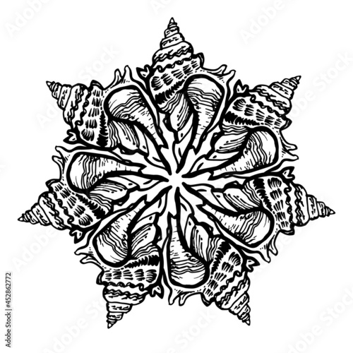 Round mandala from hand drawn ornate ink seashell isolated on white in freehand doodle style. Black and white ornamental cockleshell for logo, design element, icons, postcards. Vector illustration. 