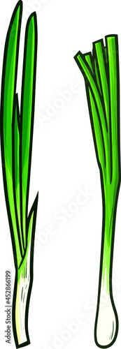 Two long leeks in simple cartoon style