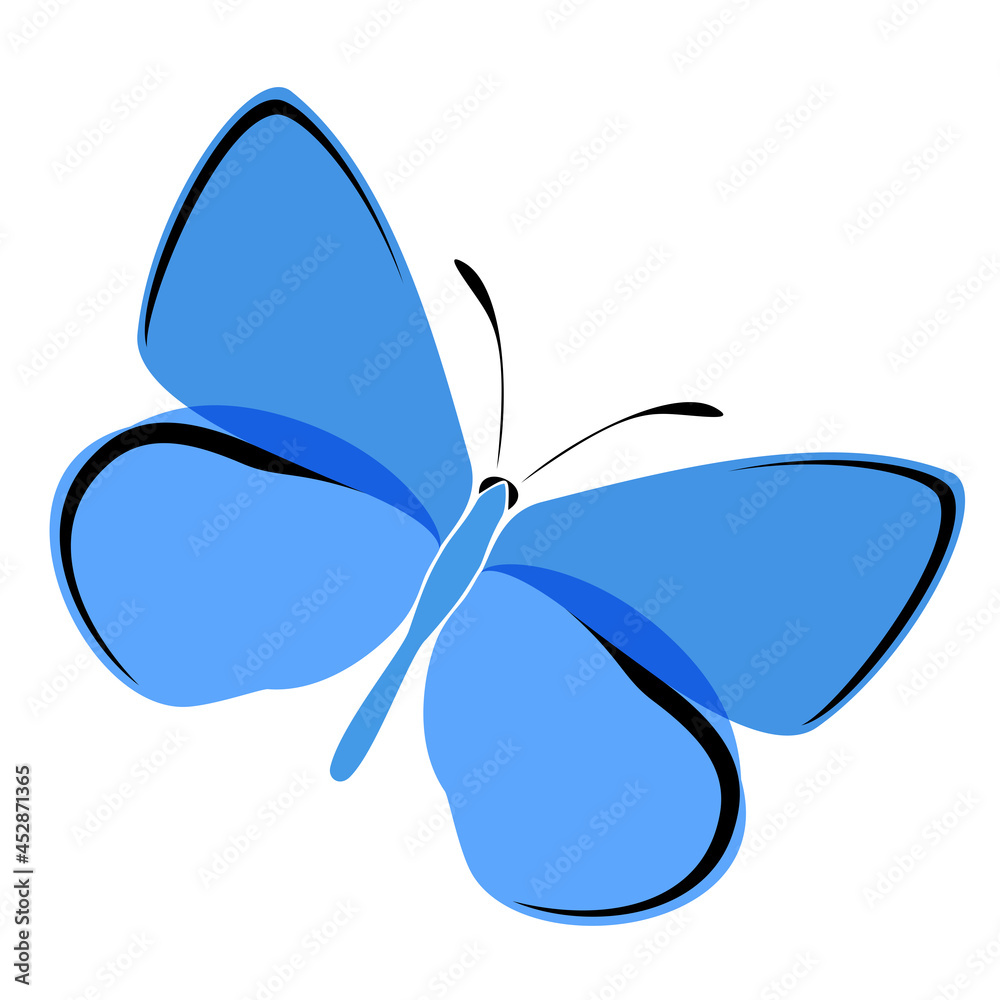 Illustration for Blue Butterflies (Lycaenidae family)