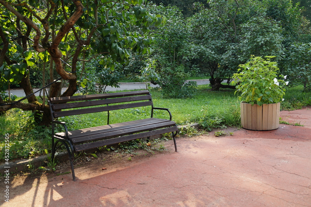 bench in the park