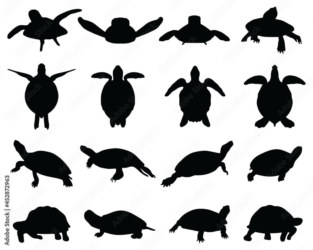 Obraz premium Black silhouettes of turtles on a white background