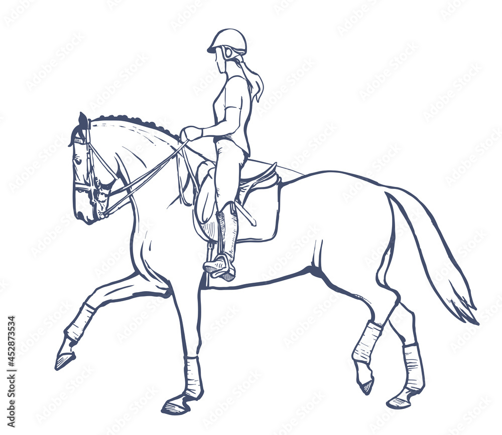 Drawing of young horse rider woman performing dressage training ...