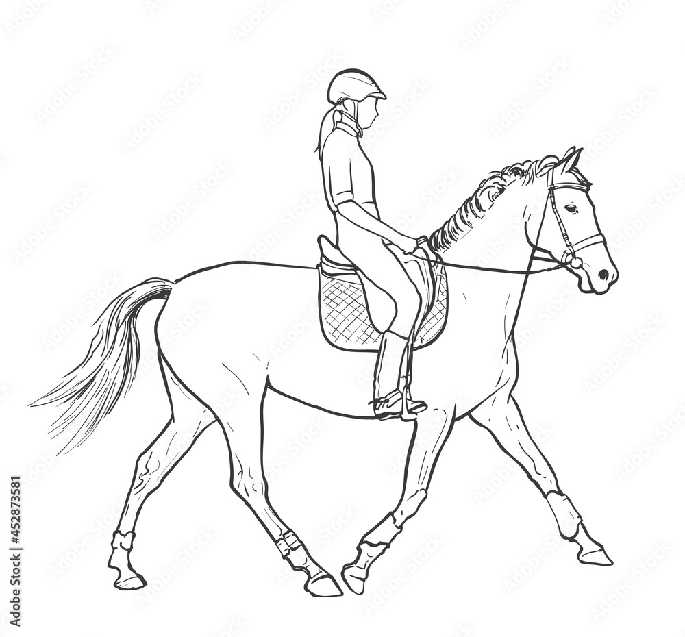 Young woman horse rider performing equine training, horse riding, horse stallion with jockey drawing for sport vector illustration Young woman horse rider performing equine training, horse riding, horse stallion with jockey drawing for sport vector illustration