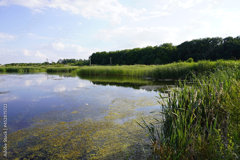 Summer landscape with small lake in forest Shinny sun reflected in the lake