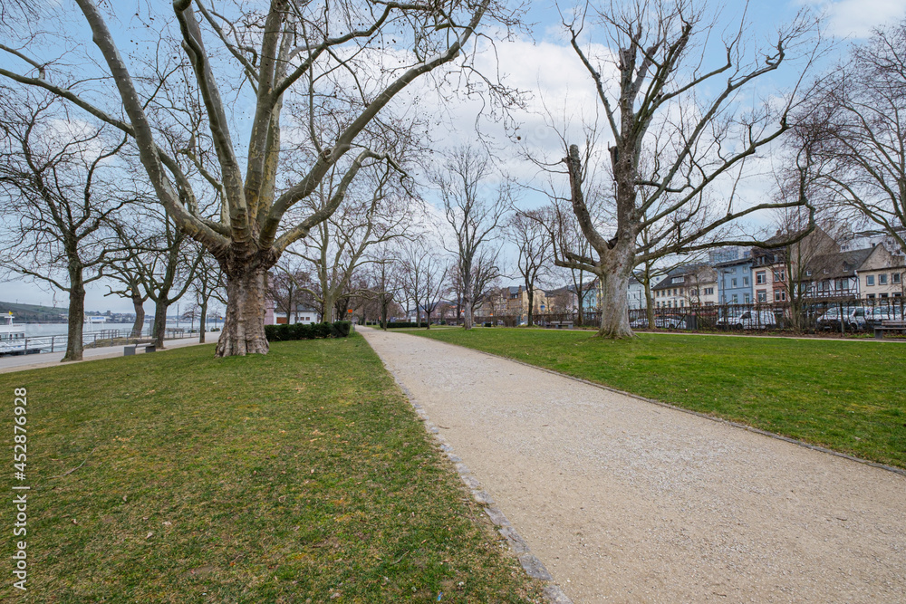 Natur Bingen am Rhein Natur Bingen am Rhein
