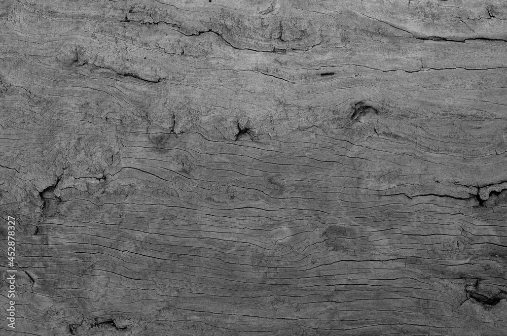 Fototapeta premium Gray wood texture. Abstract wood use as natural background surface with old natural pattern for wallpaper decorative design..