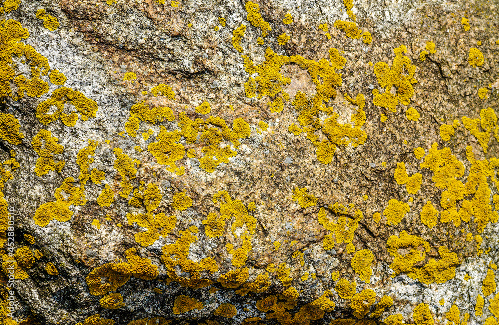 sea ​​stones
