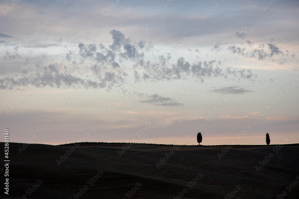 Fototapeta premium sunset at cypress hill tuscany Italy