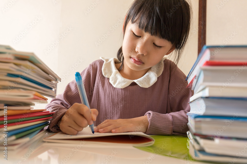 家のリビングで宿題をしている小学生の女の子の様子 家のリビングで宿題をしている小学生の女の子の様子