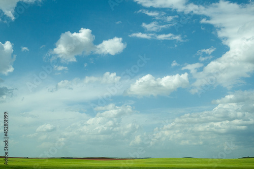 blue sky with clouds over green meadow