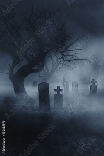 Obraz na plátně fog in dark graveyard, scary halloween night