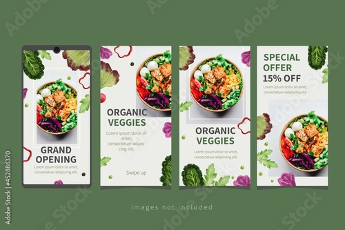 social media story template healthy food concept