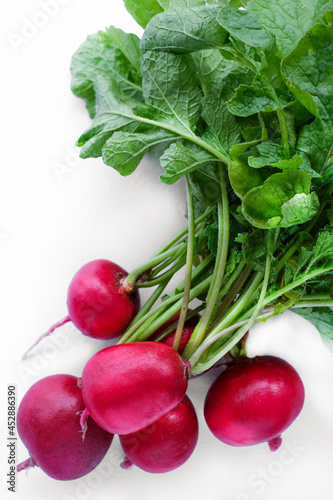 Fototapeta Naklejka Na Ścianę i Meble -  freshly radish harvest isolated on white. Healthy organic food, vegetables, agriculture. Abstract doos background isolated