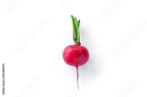 freshly radish harvest isolated on white. Healthy organic food, vegetables, agriculture. Abstract doos background isolated photo