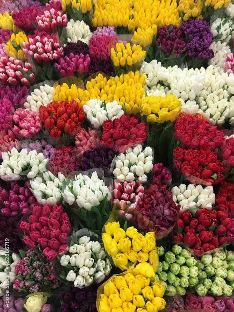 Fototapeta premium colorful flower background