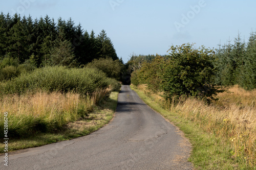 Lonely Country Lane on a Summer Morning