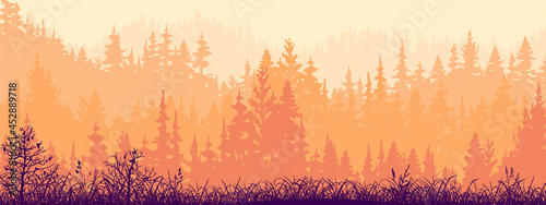 Horizontal banner of forest and meadow, silhouettes of trees and grass. Magical misty landscape, fog. Orange and pink illustration. Bookmark. 