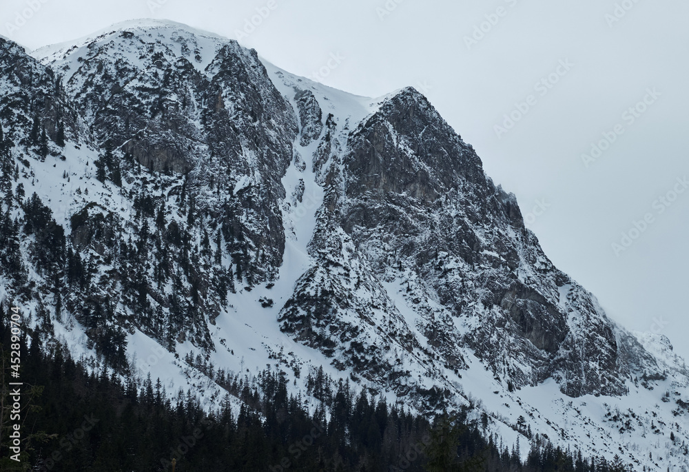 Obraz premium Tatra mountains in the winter