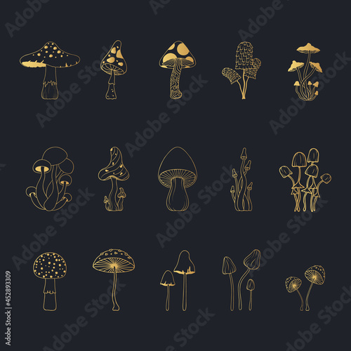 Set with golden mushrooms. Gold psychedelic fungi, fungus collection.