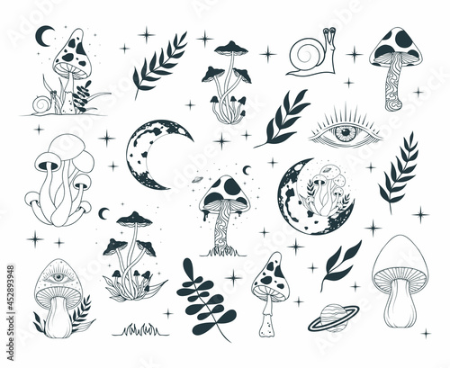 Slika na platnu Set with mystical mushrooms, leaves, floral elements